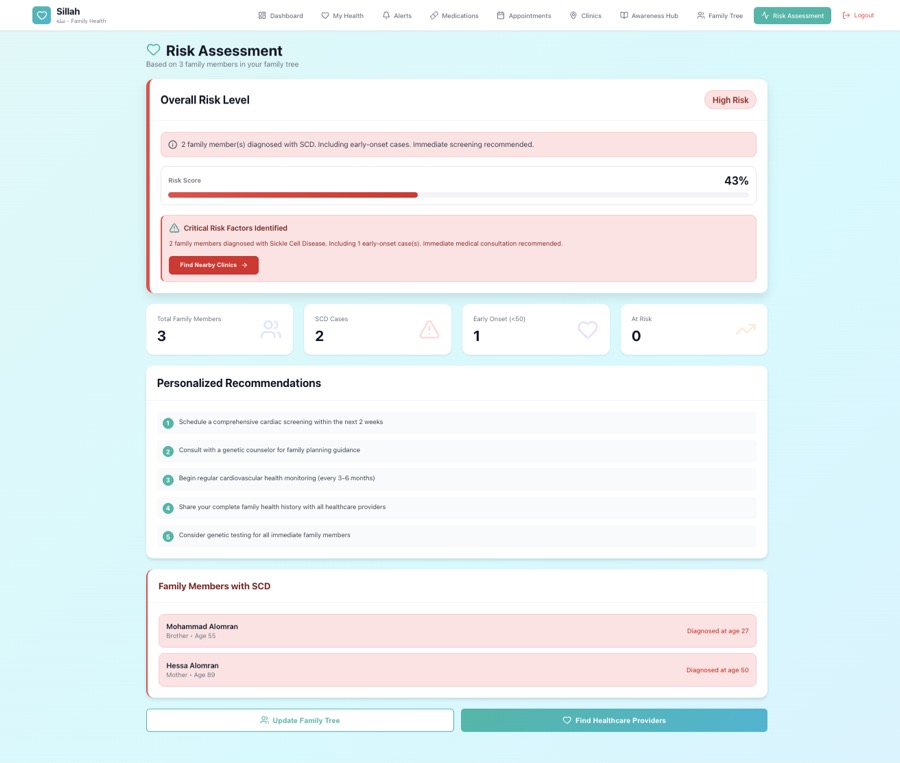 Sillah prototype: Risk assessment